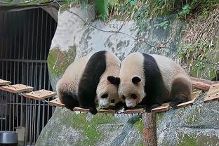 ?️抱团蹭饭！邓肯和帕克今日观看了马刺的投篮训练